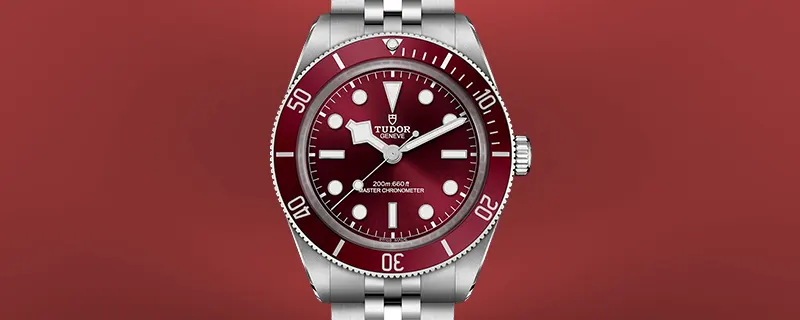 Shop Tudor Watches