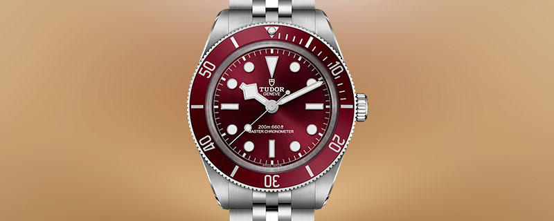 Shop Tudor Watches