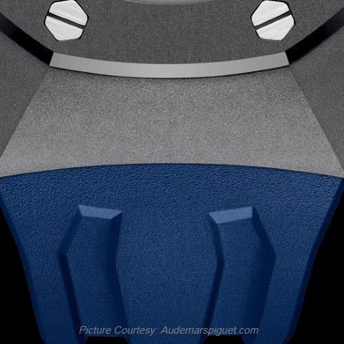 Audemars Piguet watch bracelet