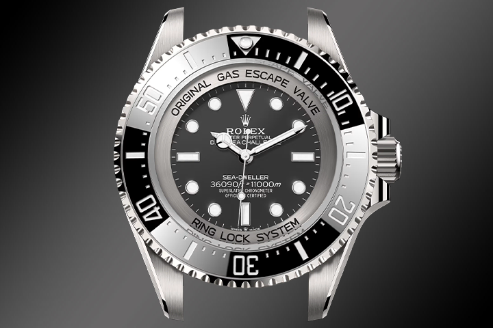 Rolex Deepsea Challenge Case