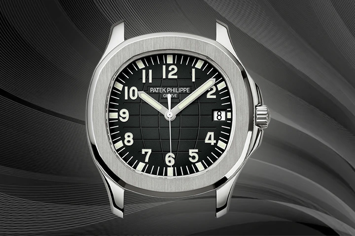 Patek Philippe Aquanaut Case