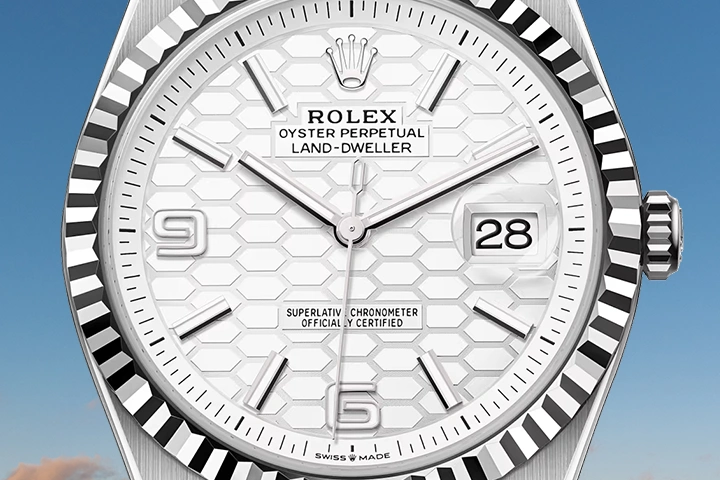 Rolex Land-Dweller Dial Detailing