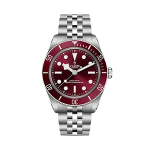 explore our Tudor collection